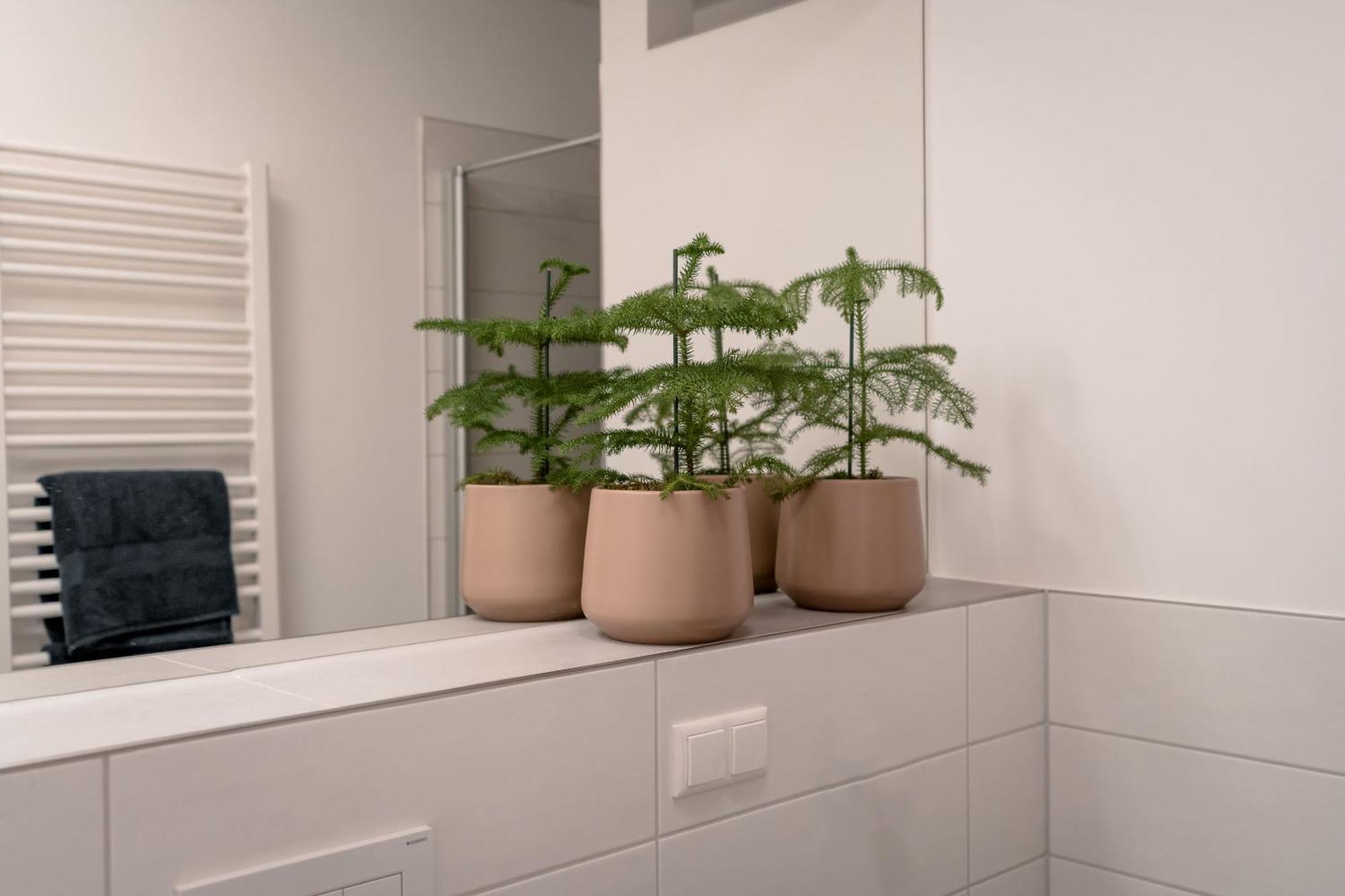 Ferienwohnung Altstadt Regensburg Eksteriør bilde